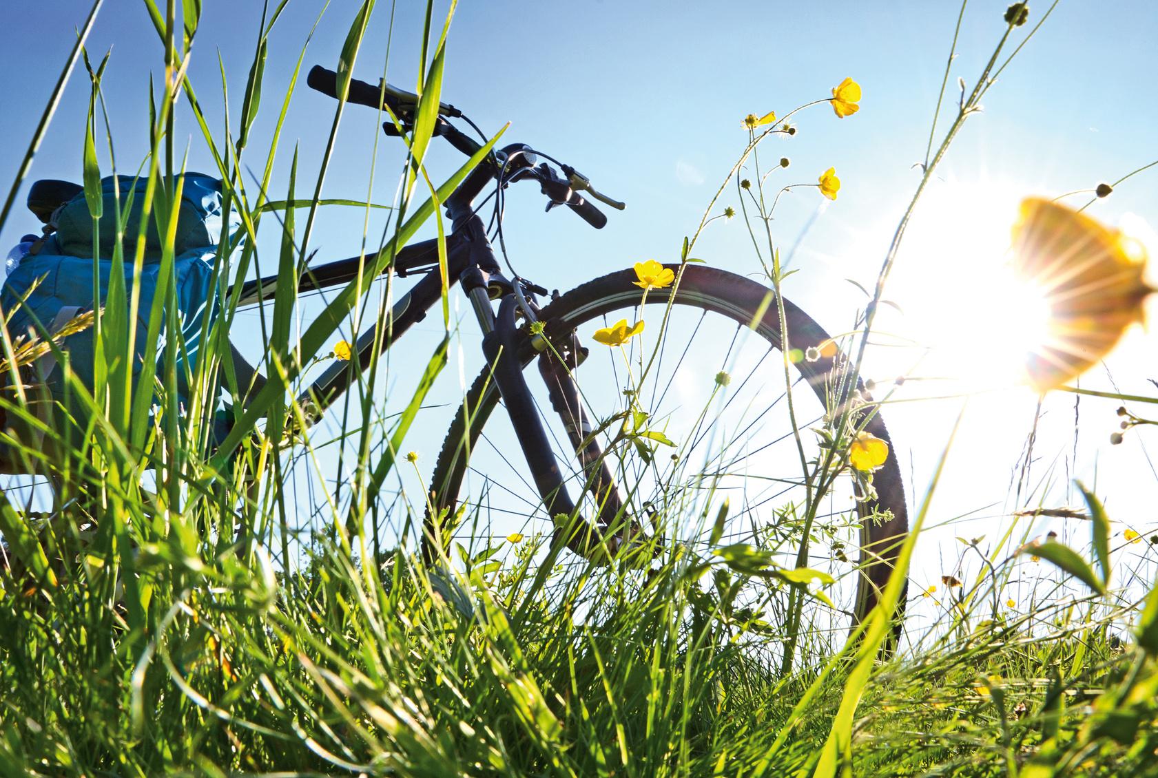 Fahrradtour – Exkursion zu Gemeinschaftsplätzen von Projekten