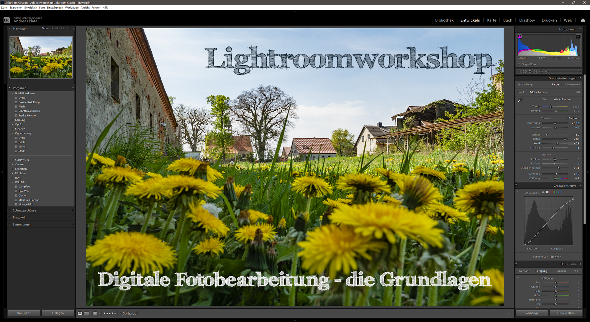 Grundlagen der Photobearbeitung in Lightroom und much more!