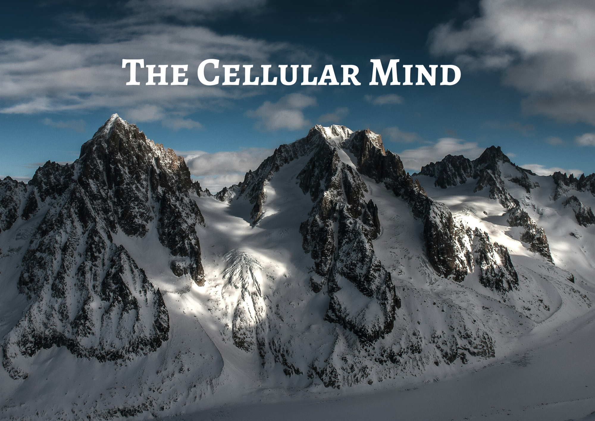 12-18 Jahre: Der zelluläre Geist /The Cellular Mind – Butoh & Qi Gong[FREE]