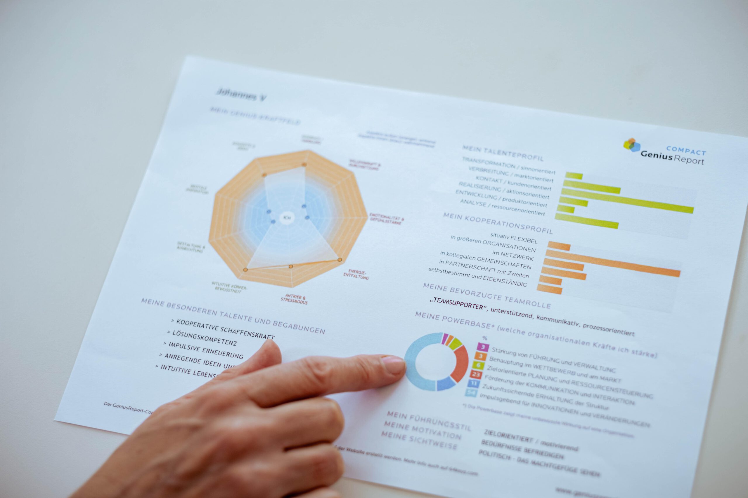 Deine Potentiale und Talente: für mehr Zufriedenheit im Business [free]