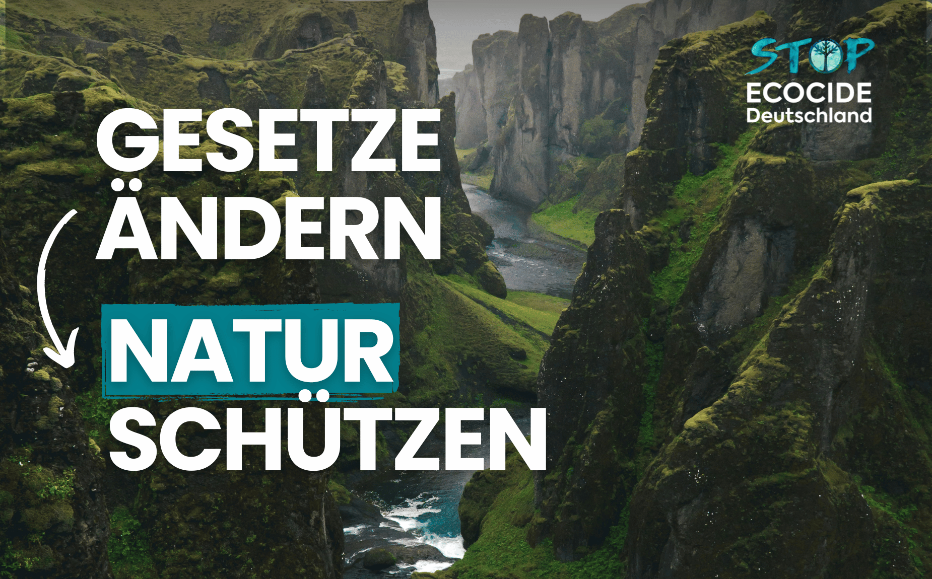 Ökozid: Das Gesetz, das die Welt verändern könnte